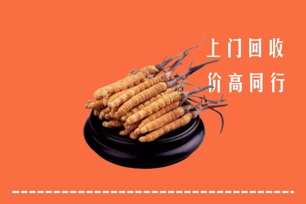 株洲市攸市回收散虫草