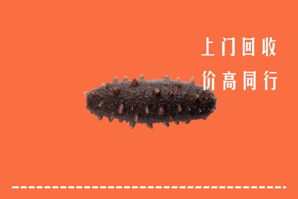 高价求购：株洲市攸市回收海参