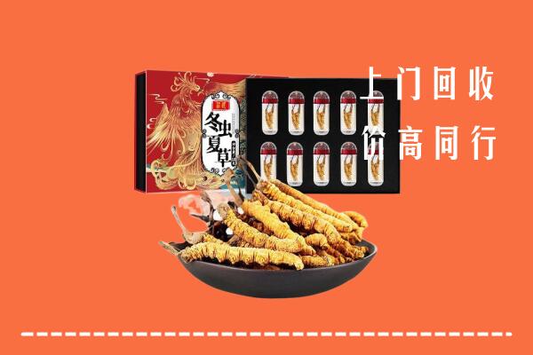 株洲市攸市回收虫草